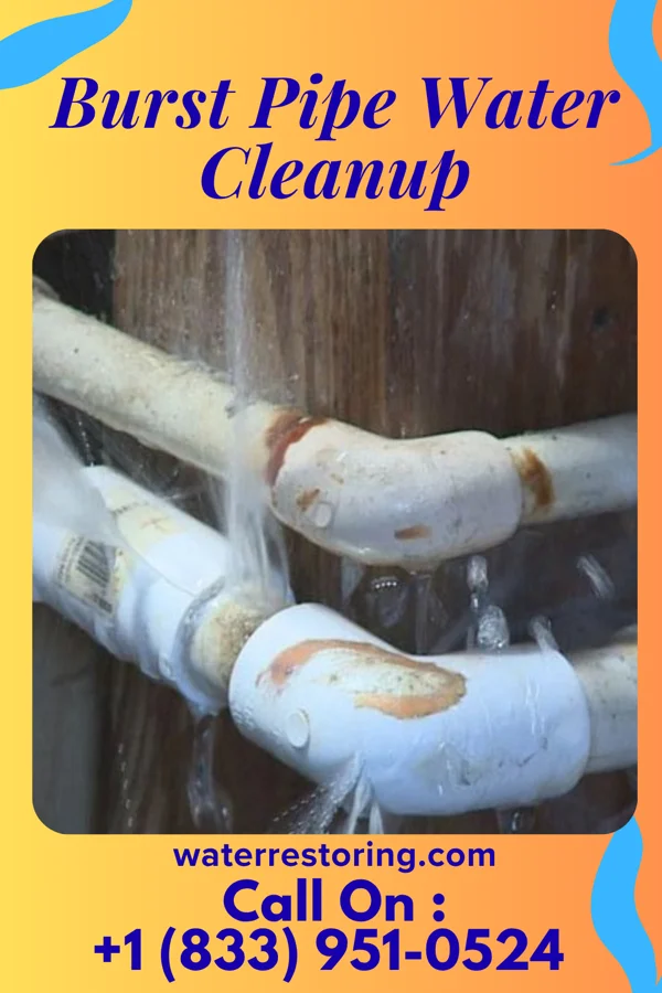 Burst Pipe Water Cleanup in Creston, OH