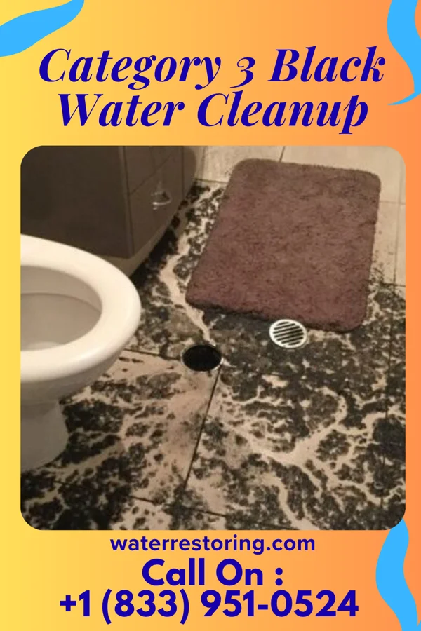 Category 3 Black Water Cleanup in Creston, OH