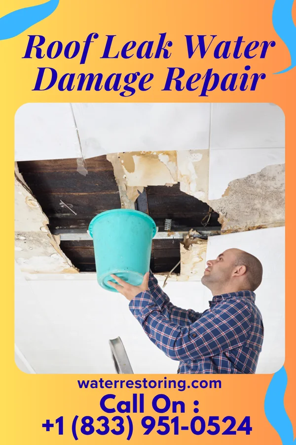 Roof Leak Water Damage Repair in Creston, OH