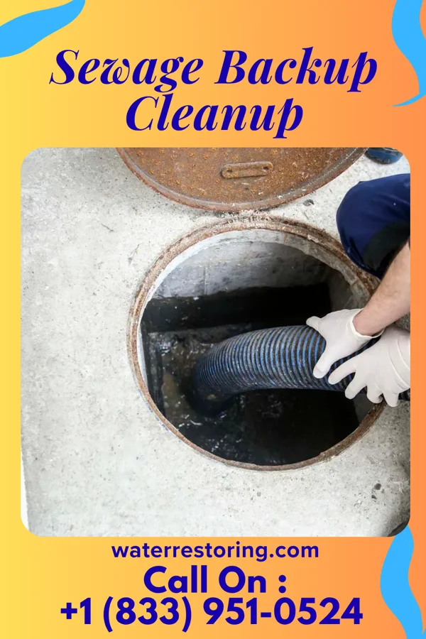Sewage Backup Cleanup in Creston, OH