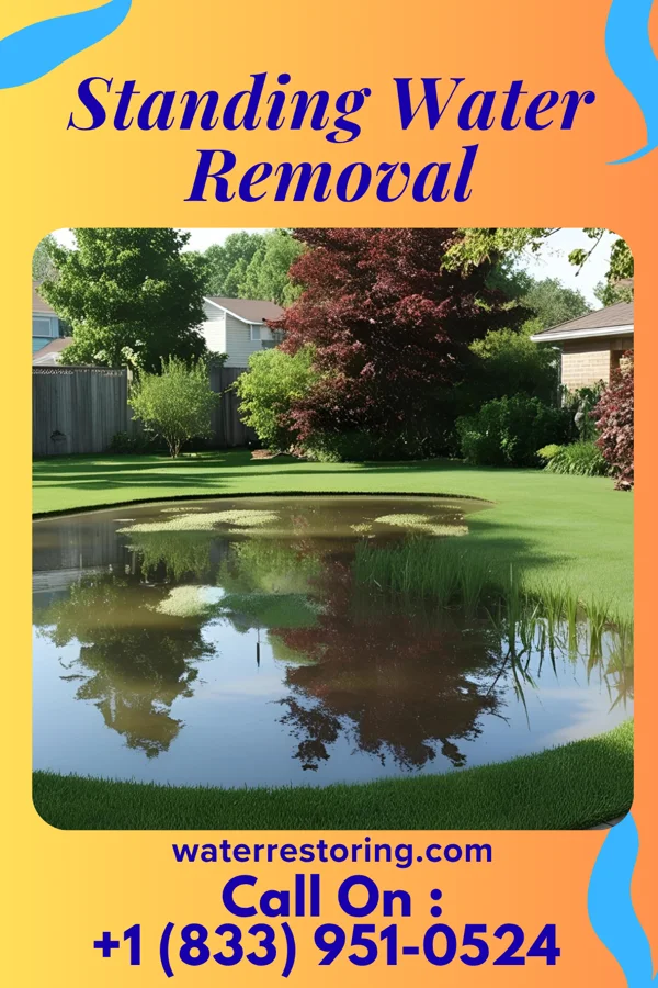 Standing Water Removal in Creston, OH